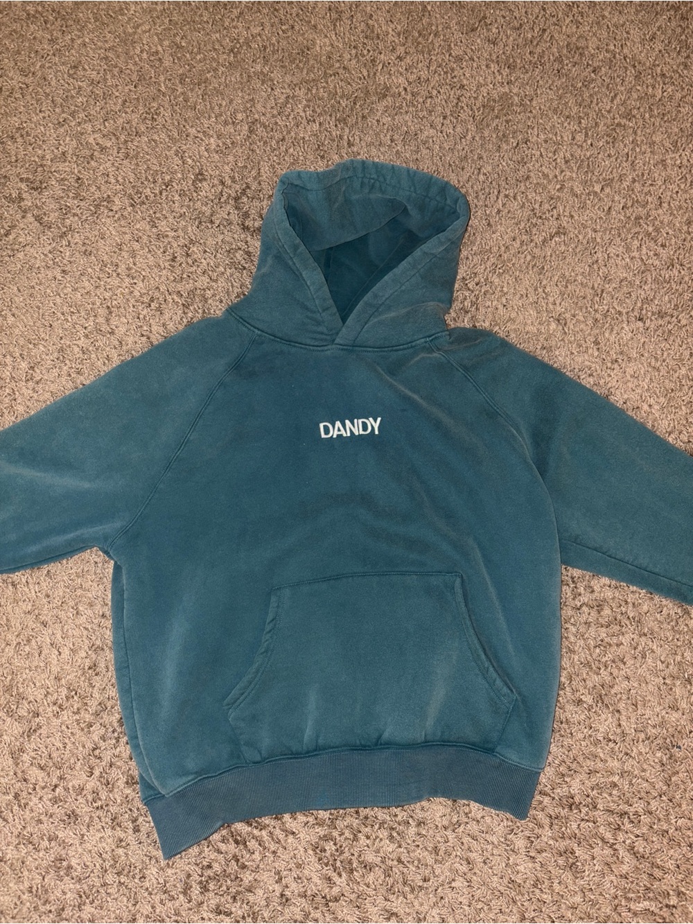 NEW WITHOUT TAGS Dandy Worldwide Halle x Dandy Adventure Hoodie - Picture 5 of 7
